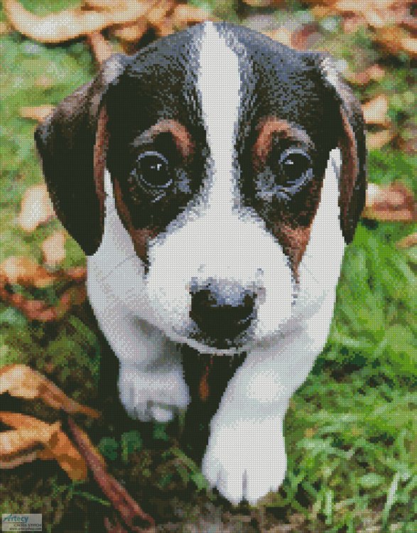 (image for) Jack Russell Terrier Puppy (Facebook Group) - Cross Stitch Chart