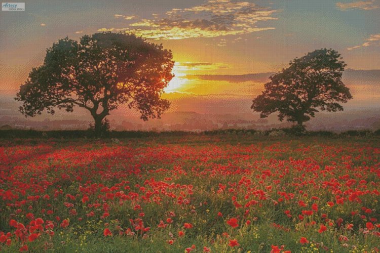 (image for) Poppies Sunset (Large) - Cross Stitch Chart