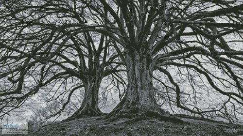 (image for) Branching Out - Black and White - Cross Stitch Chart