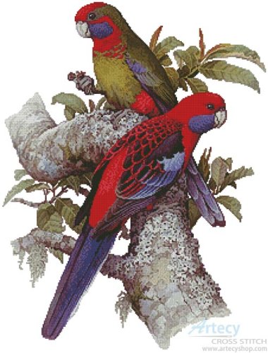 (image for) Crimson Rosellas - Cross Stitch Chart