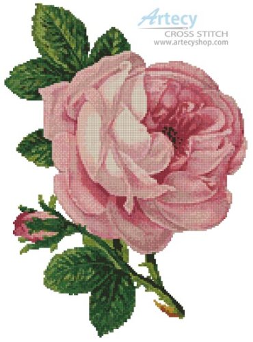(image for) Pink Rose and Bud - Cross Stitch Chart