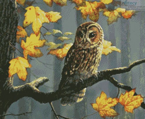 (image for) Tawny Owl (Crop) - Cross Stitch Chart
