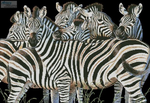 (image for) Zebra Huddle - Cross Stitch Chart