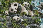 (image for) 12 Pandas (Large) - Cross Stitch Chart