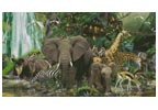(image for) African Rainforest (Large) - Cross Stitch Chart