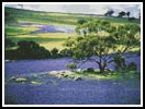 A Patch of Blue - Cross Stitch Chart (image for) A Patch of Blue - Cross Stitch Chart