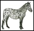 Appaloosa - Cross Stitch Chart (image for) Appaloosa - Cross Stitch Chart
