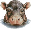 (image for) Baby Hippopotamus - Cross Stitch Chart @