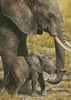 (image for) Baby Mine (Large) - Cross Stitch Chart