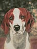Beagle Dog Portrait - Cross Stitch Chart (image for) Beagle Dog Portrait - Cross Stitch Chart