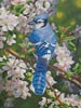 Blue Jay in Apple Blossoms (Large Crop) - Cross Stitch Chart (image for) Blue Jay in Apple Blossoms (Large Crop) - Cross Stitch Chart