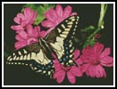 Butterfly 3 - Cross Stitch Chart (image for) Butterfly 3 - Cross Stitch Chart