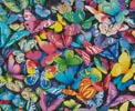 (image for) Butterfly Magic - Cross Stitch Chart