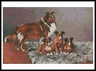 Collie Dogs - Cross Stitch Chart (image for) Collie Dogs - Cross Stitch Chart