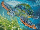 (image for) Colourful Sea Turtle - Cross Stitch Chart