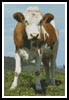 (image for) Cow 2 - Cross Stitch Chart