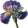 (image for) Dragon Iris (Large) - Cross Stitch Chart @