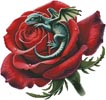 (image for) Dragon Rose - Cross Stitch Chart @