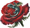 (image for) Dragon Rose (Large) - Cross Stitch Chart @