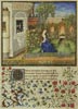 (image for) Emilia in her Garden (Large) - Cross Stitch Chart