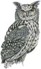 Eurasian Eagle Owl - Cross Stitch Chart (image for) Eurasian Eagle Owl - Cross Stitch Chart