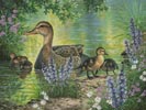 Field Trip (Large) - Cross Stitch Chart (image for) Field Trip (Large) - Cross Stitch Chart