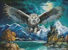 (image for) Flight of a Night Owl - Cross Stitch Chart