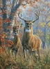 Forest Monarch - Cross Stitch Chart (image for) Forest Monarch - Cross Stitch Chart