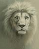(image for) Ghost of the Timbavati - Cross Stitch Chart