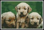 Golden Retriever Puppies - Cross Stitch Chart (image for) Golden Retriever Puppies - Cross Stitch Chart