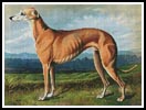 Greyhound - Cross Stitch Chart (image for) Greyhound - Cross Stitch Chart