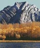 Heart Mountain - Cross Stitch Chart (image for) Heart Mountain - Cross Stitch Chart