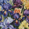 Iris Bunch - Cross Stitch Chart @ (image for) Iris Bunch - Cross Stitch Chart @