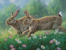 Jumping for Joy (Large) - Cross Stitch Chart (image for) Jumping for Joy (Large) - Cross Stitch Chart