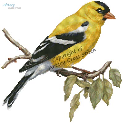 (image for) American Goldfinch on a Branch - Cross Stitch Chart @