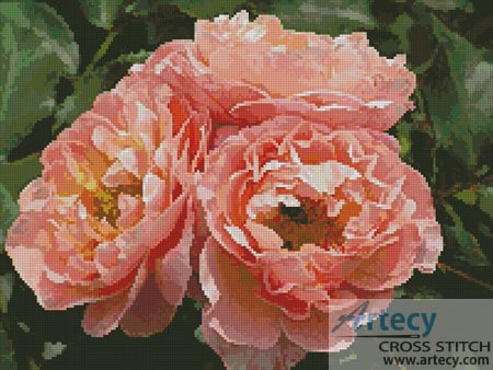 (image for) Apricot Roses - Cross Stitch Chart