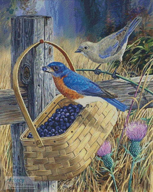 (image for) Blue Bandit - Cross Stitch Chart