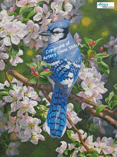 (image for) Blue Jay in Apple Blossoms (Large Crop) - Cross Stitch Chart