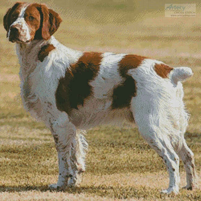 (image for) Brittany Spaniel - Cross Stitch Chart