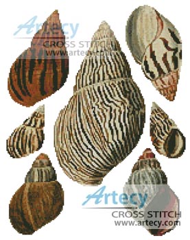 (image for) Bulla Shells - Cross Stitch Chart
