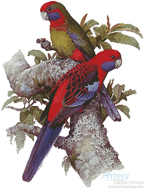 (image for) Crimson Rosellas - Cross Stitch Chart