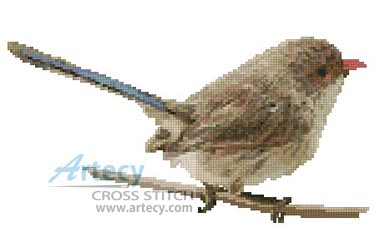 (image for) Female Splendid Fairy Wren - Cross Stitch Chart