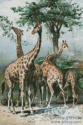 (image for) Giraffes - Cross Stitch Chart