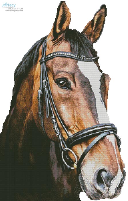 (image for) Horse Close Up 2 (No Back) - Cross Stitch Chart
