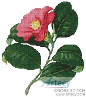 (image for) Japanese Camellia - Cross Stitch Chart