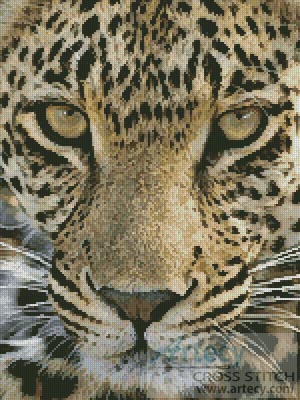 (image for) Leopard Close Up - Cross Stitch Chart