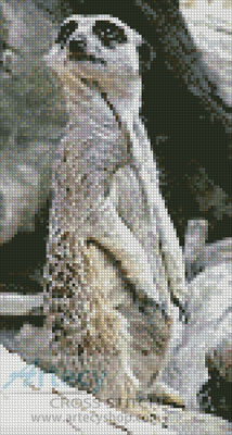 (image for) Meerkat - Cross Stitch Chart