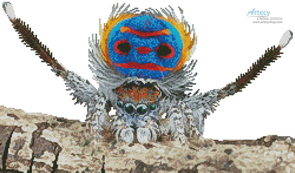 (image for) Peacock Spider - Cross Stitch Chart