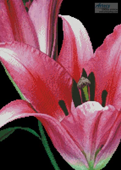 (image for) Pink Lily - Cross Stitch Chart