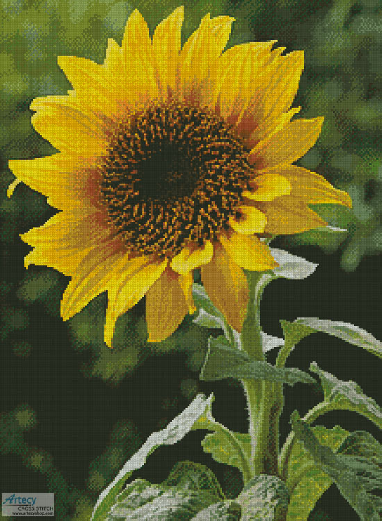 (image for) Sunflower (Large) - Cross Stitch Chart